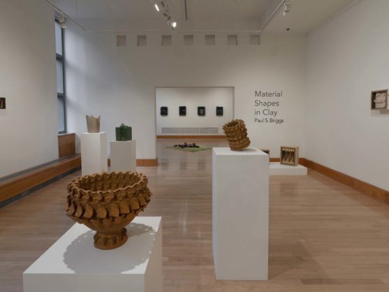 PAUL S. BRIGGS: MATERIAL SHAPES IN CLAY
