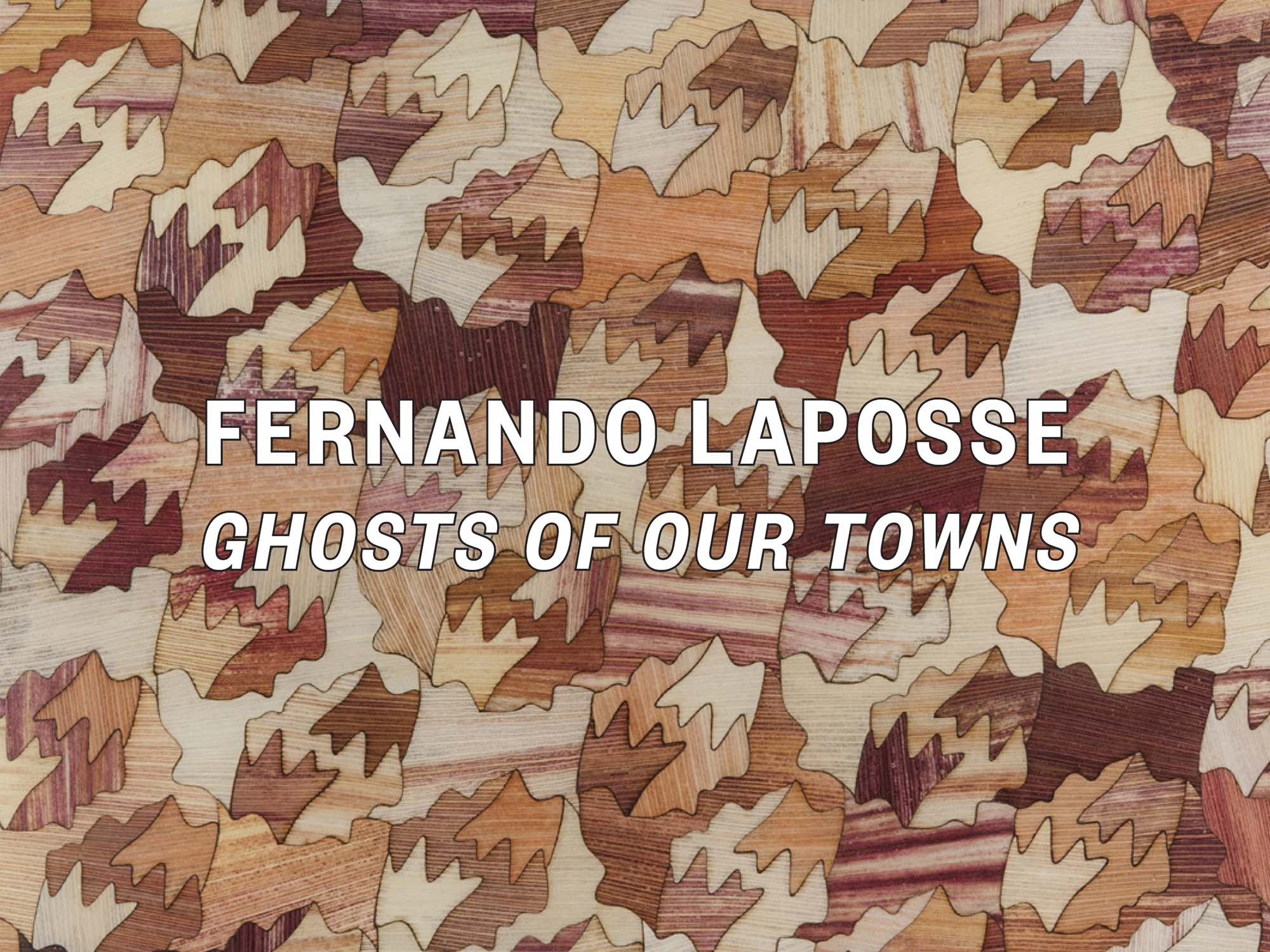 2023 publication fernando laposse