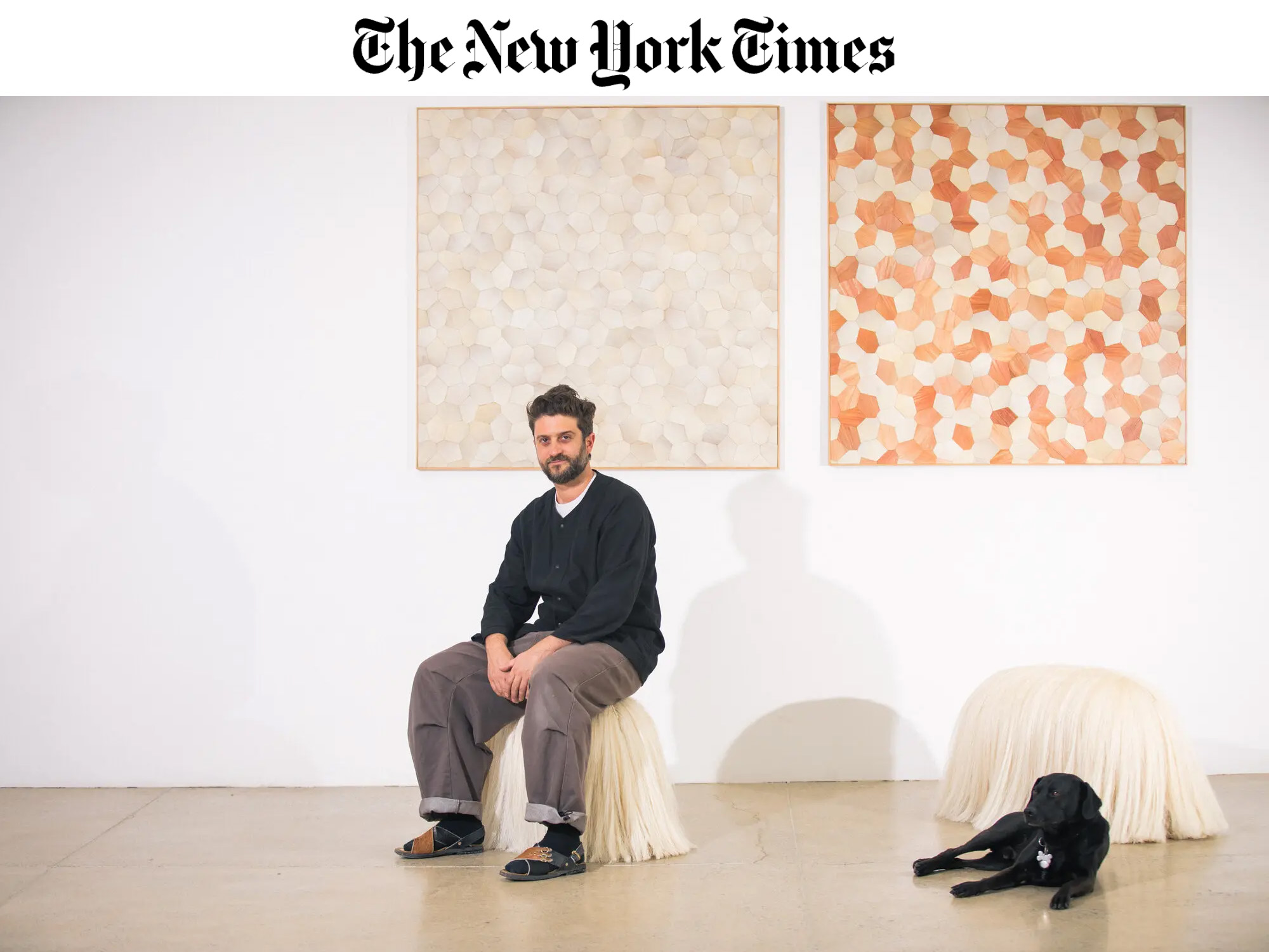 laposs_nyt_header