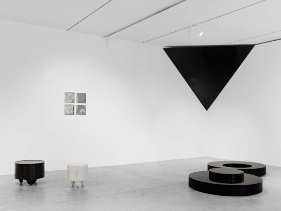 ADAM PENDLETON: WHO OWNS GEOMETRY ANYWAY?