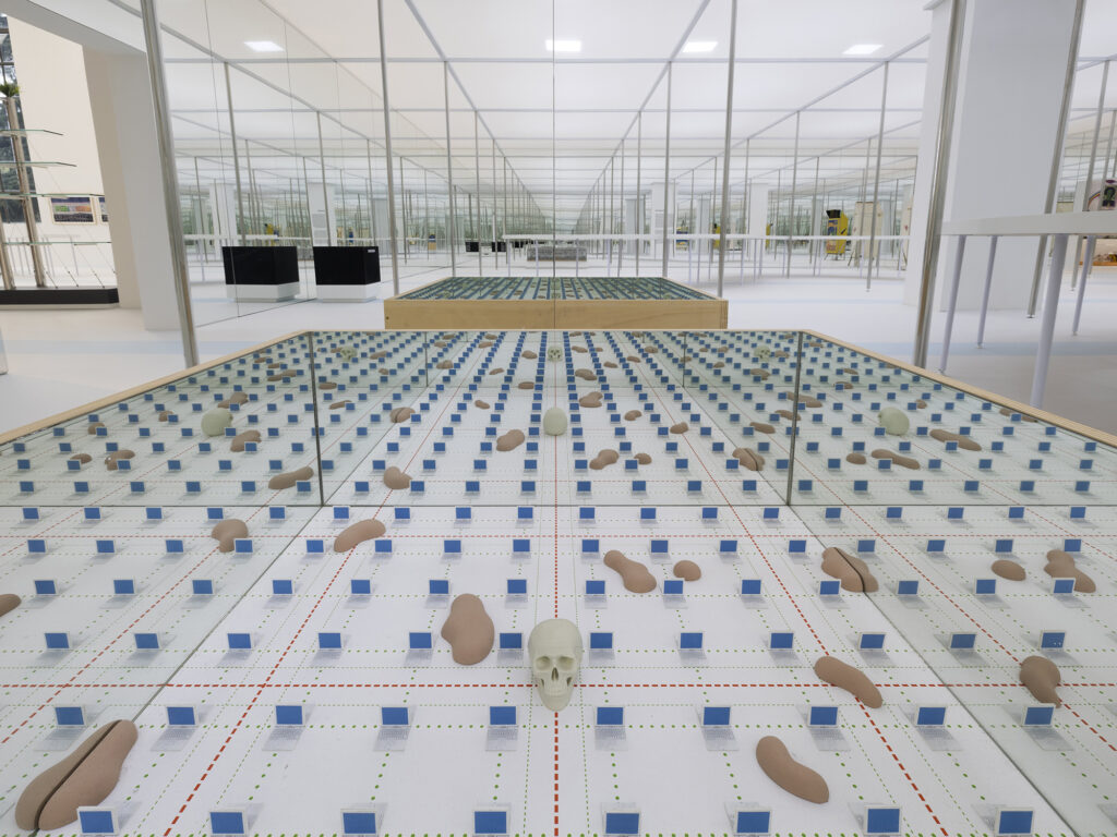 Branzi_Triennale_24 Branzi_Triennale_24
