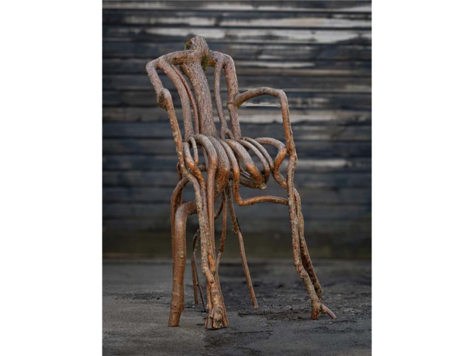 Full-Grown-The-Attenborough-Chair