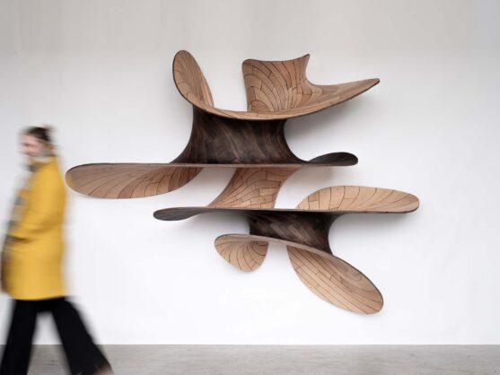Laarman_Ply_Loop_Shelf_Wall_web