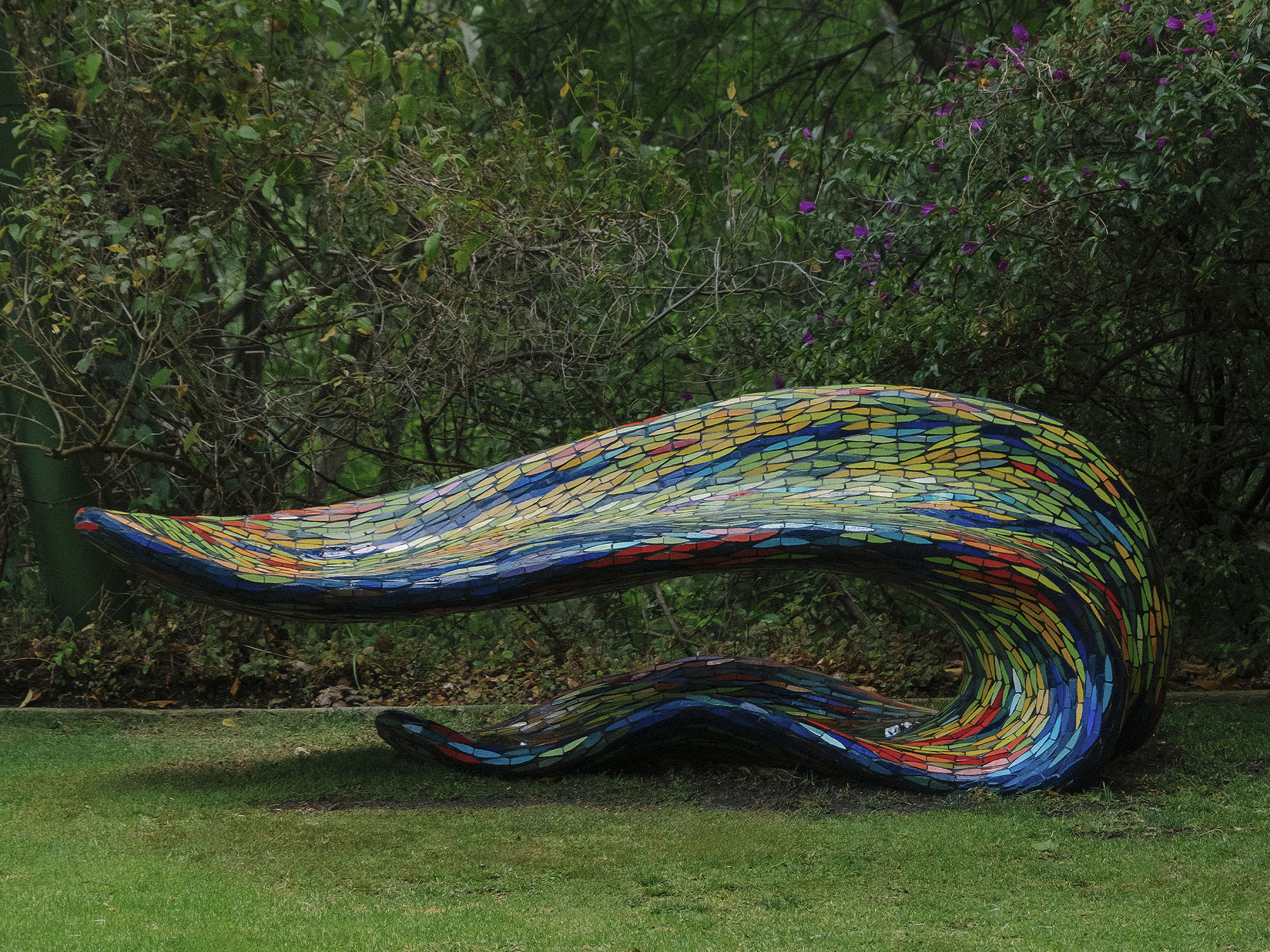 Senosiain_Chameleon