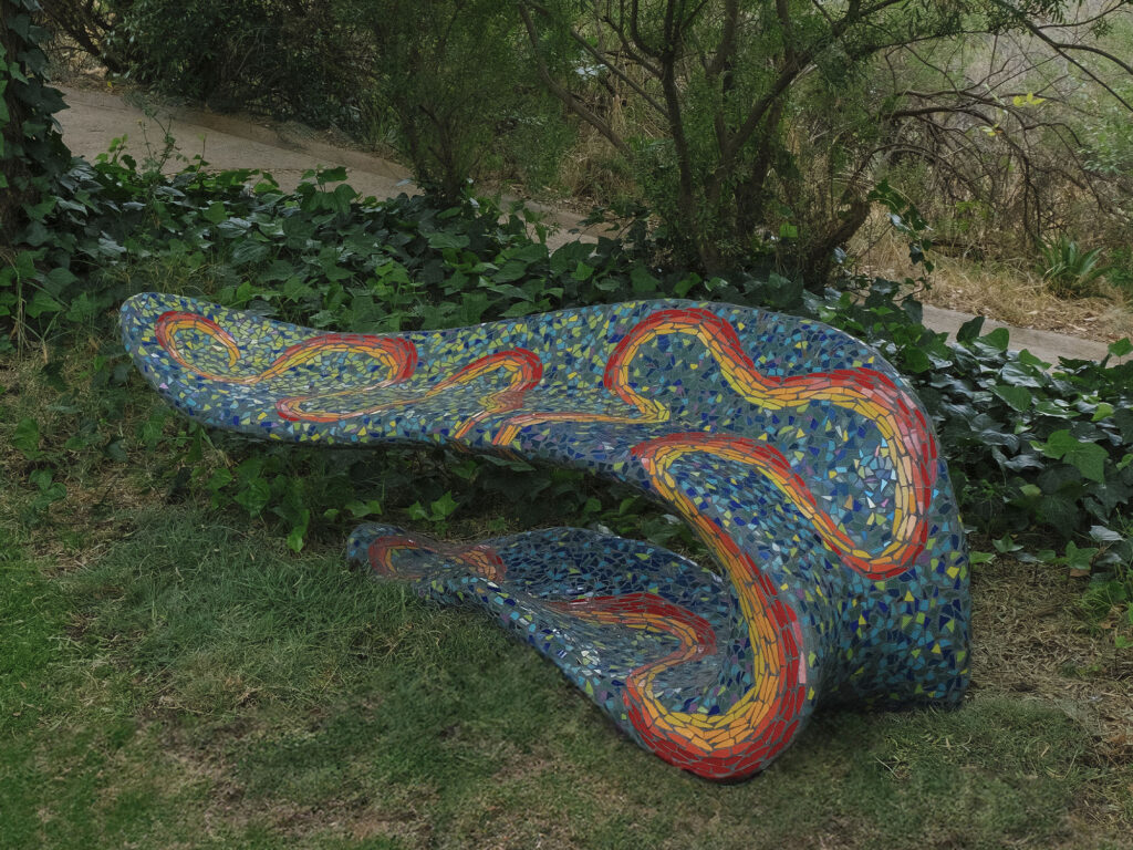 Playful Little Snake, 2022